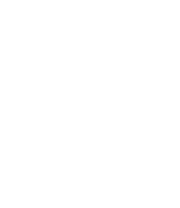 IDPLUS