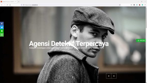 smart website - detektif.id